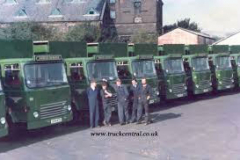 Brewery Wagons